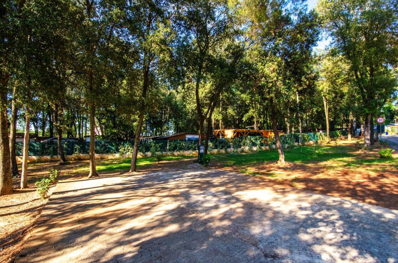 Centinera Deluxe Mobile Homes Kamp